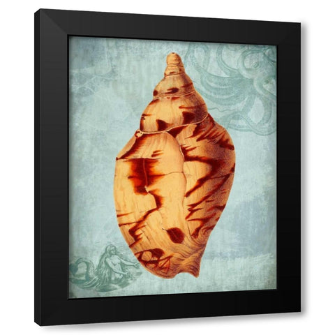 Coastal Life Collection 2 d Black Modern Wood Framed Art Print by Fab Funky