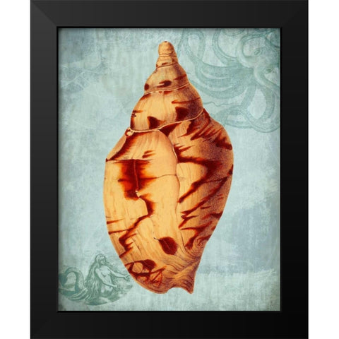 Coastal Life Collection 2 d Black Modern Wood Framed Art Print by Fab Funky