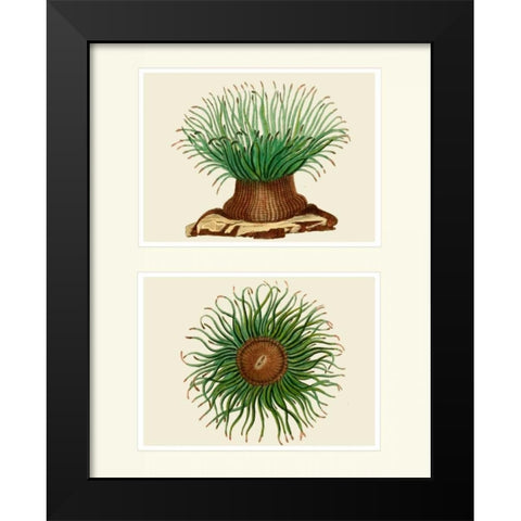 Green Sea Anemone on 2 panels Black Modern Wood Framed Art Print by Fab Funky