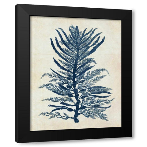 Indigo Blue Seaweed 1 b Black Modern Wood Framed Art Print with Double Matting by Fab Funky