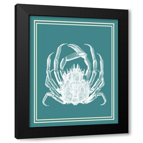 Mixed Nautical White on Teal f Black Modern Wood Framed Art Print with Double Matting by Fab Funky