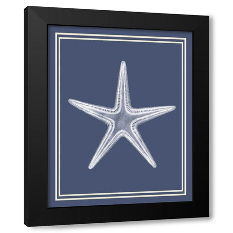 Mixed Nautical White on Indigo Blue a Black Modern Wood Framed Art Print with Double Matting by Fab Funky