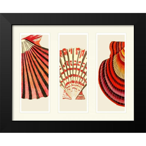 Red and Cream Shells on 3 Panels Black Modern Wood Framed Art Print by Fab Funky
