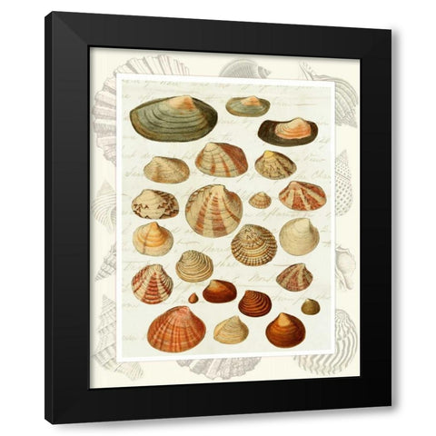 Shells on Vintage Script Black Modern Wood Framed Art Print with Double Matting by Fab Funky