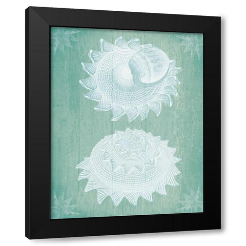 Shells White on Turquoise Black Modern Wood Framed Art Print with Double Matting by Fab Funky