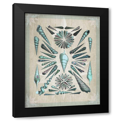 Shell Collection 5 Black Modern Wood Framed Art Print with Double Matting by Fab Funky