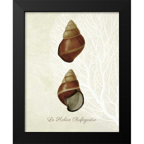French Shell Print a Black Modern Wood Framed Art Print by Fab Funky