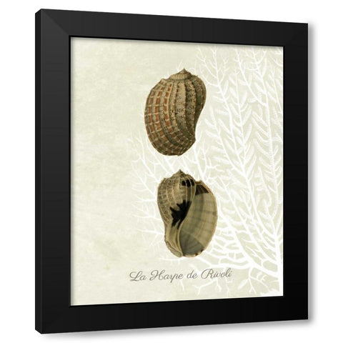 French Shell Print c Black Modern Wood Framed Art Print with Double Matting by Fab Funky