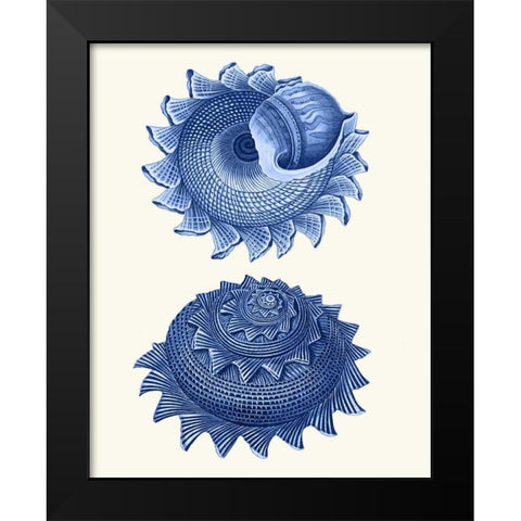 2 Blue Shells b Black Modern Wood Framed Art Print by Fab Funky