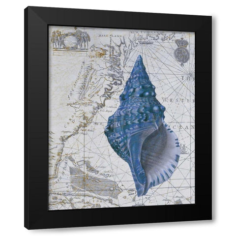 Seashell Collection 1 a Black Modern Wood Framed Art Print with Double Matting by Fab Funky