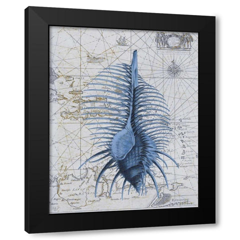 Seashell Collection 1 b Black Modern Wood Framed Art Print with Double Matting by Fab Funky
