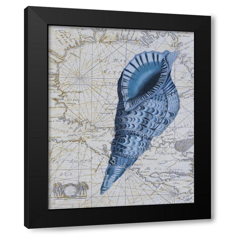 Seashell Collection 1 c Black Modern Wood Framed Art Print with Double Matting by Fab Funky