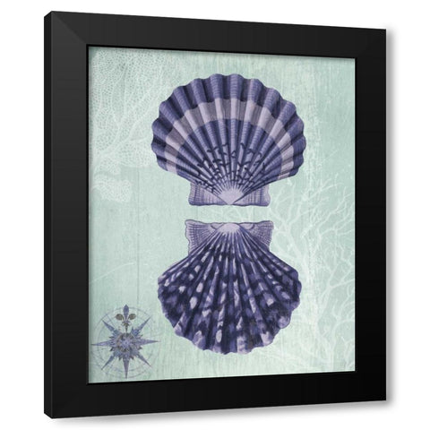 Seashell Collection 2 a Black Modern Wood Framed Art Print with Double Matting by Fab Funky