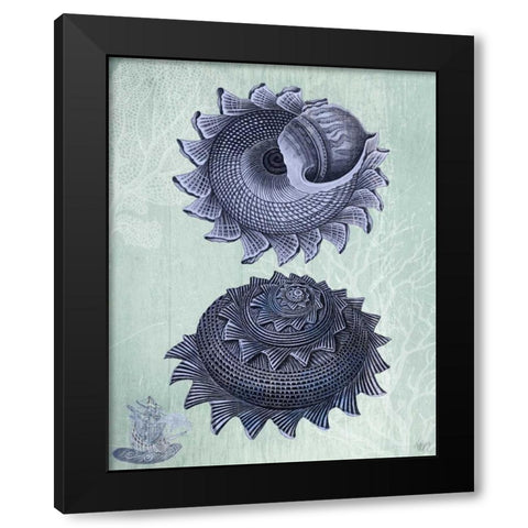 Seashell Collection 2 b Black Modern Wood Framed Art Print with Double Matting by Fab Funky