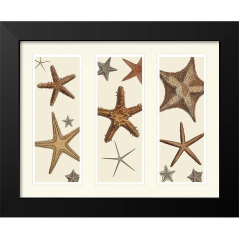Starfish Print on 3 Panels Black Modern Wood Framed Art Print by Fab Funky
