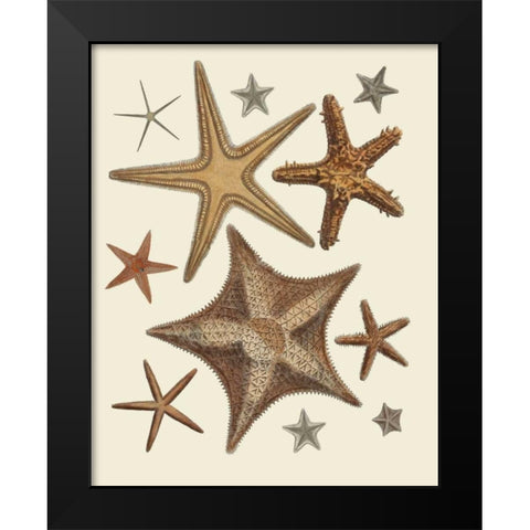 Starfish Collection 1 Black Modern Wood Framed Art Print by Fab Funky