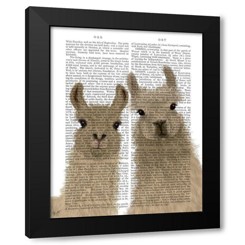 Llama Duo, Looking at You Book Print Black Modern Wood Framed Art Print with Double Matting by Fab Funky