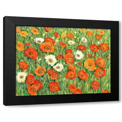 Poppy Meadow I Black Modern Wood Framed Art Print with Double Matting by OToole, Tim
