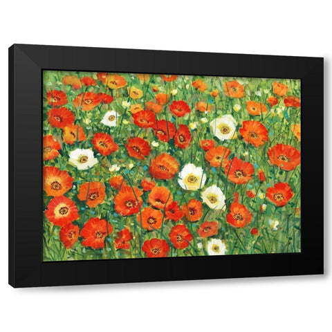 Poppy Meadow II Black Modern Wood Framed Art Print by OToole, Tim