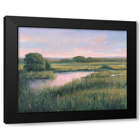 Spring Marsh I Black Modern Wood Framed Art Print by OToole, Tim