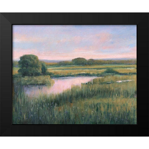 Spring Marsh I Black Modern Wood Framed Art Print by OToole, Tim