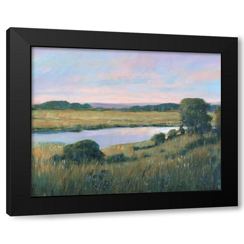 Spring Marsh II Black Modern Wood Framed Art Print with Double Matting by OToole, Tim