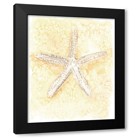 Salty Seashell I Black Modern Wood Framed Art Print with Double Matting by Warren, Annie