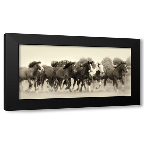 Running Free Black Modern Wood Framed Art Print by Drost, David