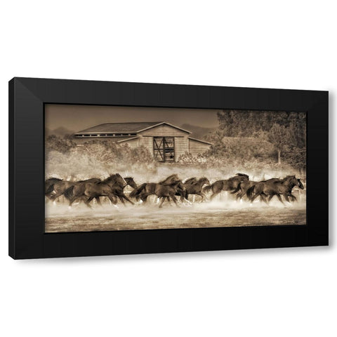 A Dozen Quarters Black Modern Wood Framed Art Print with Double Matting by Drost, David