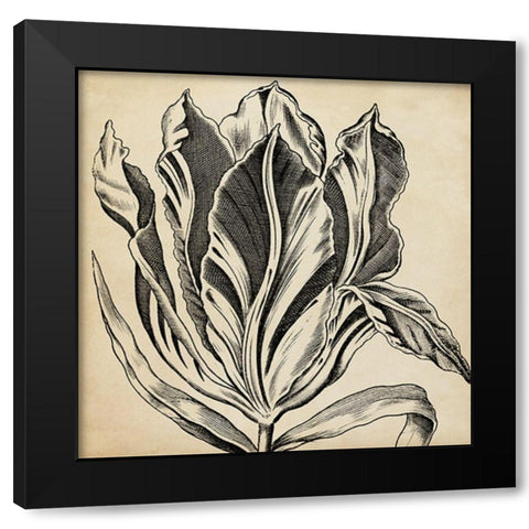 Graphic Floral I Black Modern Wood Framed Art Print with Double Matting by Vision Studio