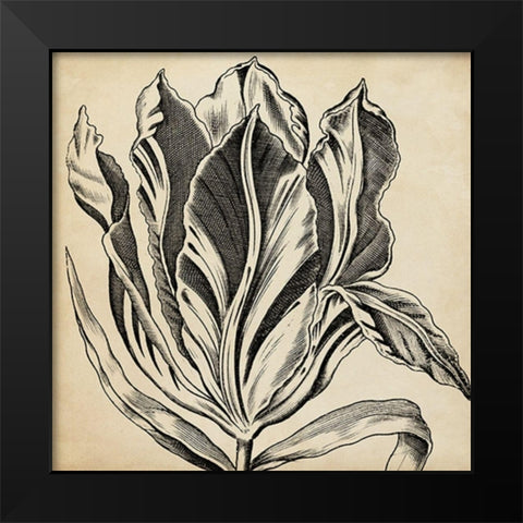 Graphic Floral I Black Modern Wood Framed Art Print by Vision Studio