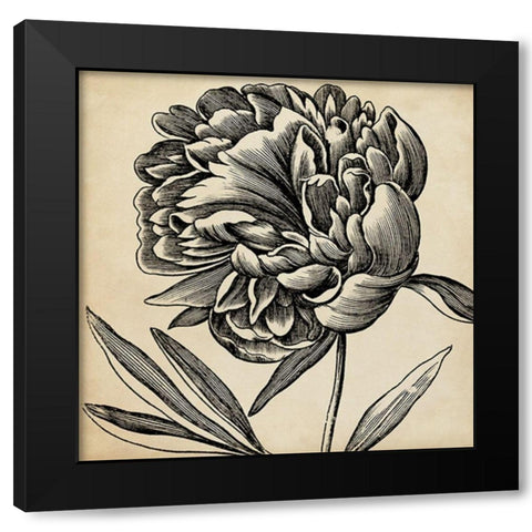 Graphic Floral II Black Modern Wood Framed Art Print by Vision Studio