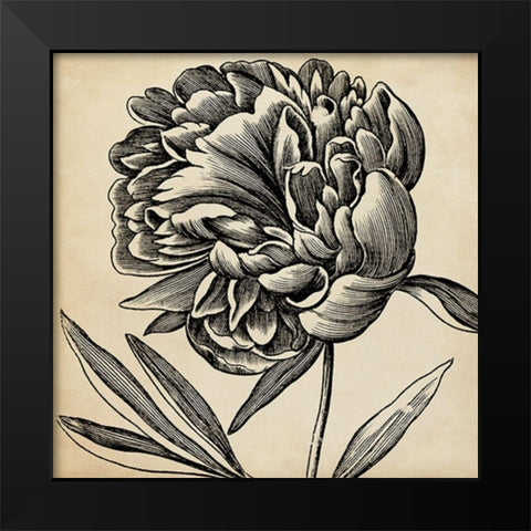 Graphic Floral II Black Modern Wood Framed Art Print by Vision Studio