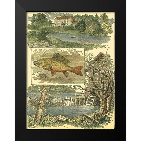 Fishermans Vignette I Black Modern Wood Framed Art Print by Vision Studio