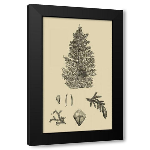 Arbor Study I Black Modern Wood Framed Art Print with Double Matting by Vision Studio
