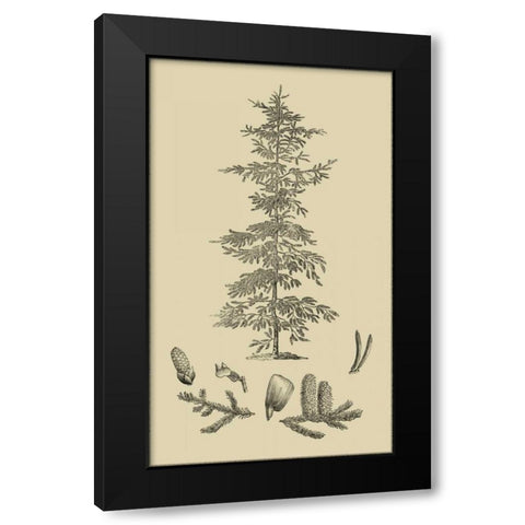 Arbor Study II Black Modern Wood Framed Art Print with Double Matting by Vision Studio