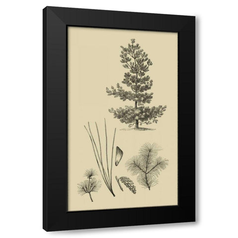 Arbor Study III Black Modern Wood Framed Art Print with Double Matting by Vision Studio