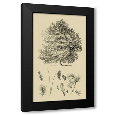 Arbor Study IV Black Modern Wood Framed Art Print with Double Matting by Vision Studio