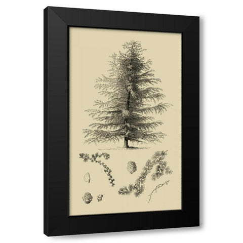 Arbor Study VI Black Modern Wood Framed Art Print by Vision Studio