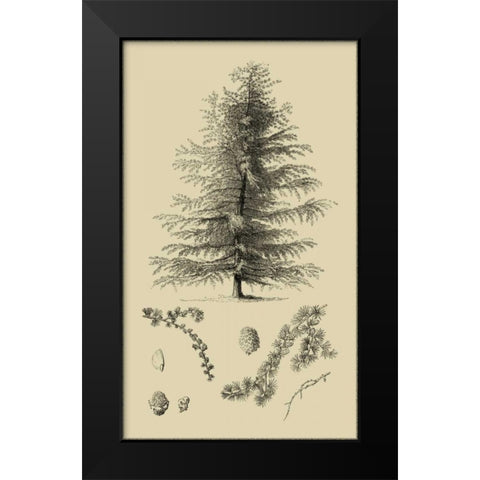 Arbor Study VI Black Modern Wood Framed Art Print by Vision Studio