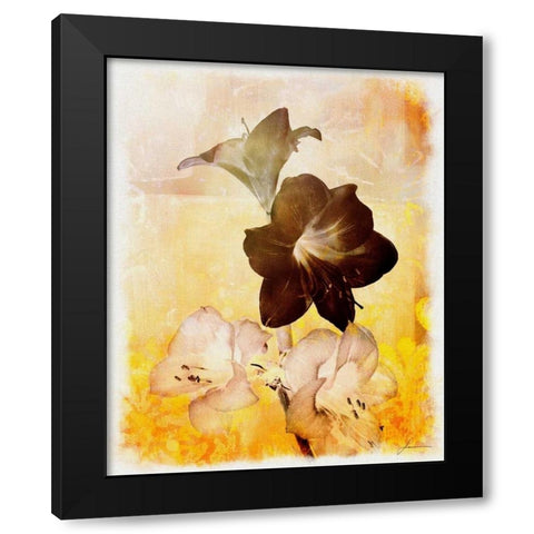 Brocade Garden II Black Modern Wood Framed Art Print by Burghardt, James