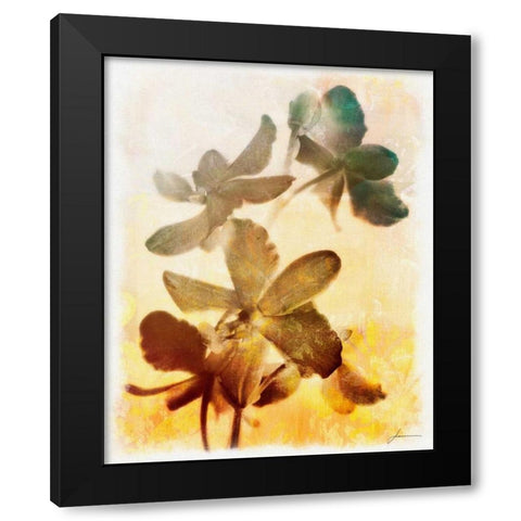 Brocade Garden III Black Modern Wood Framed Art Print by Burghardt, James