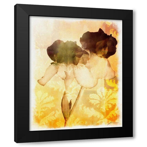 Brocade Garden IV Black Modern Wood Framed Art Print by Burghardt, James