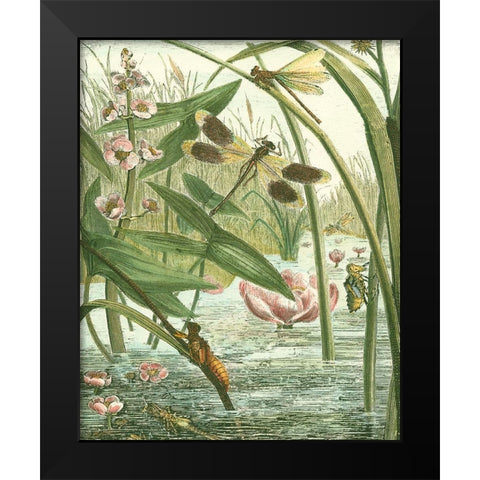 Dragonfly Gathering II Black Modern Wood Framed Art Print by Vision Studio