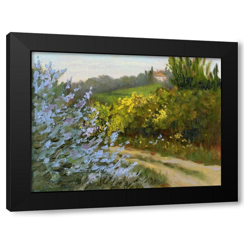 Rosemary by the Road Black Modern Wood Framed Art Print with Double Matting by Weber, Mary Jean