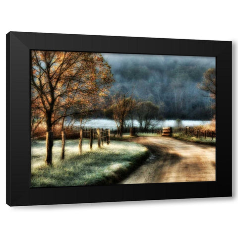 Morning Frost Black Modern Wood Framed Art Print by Head, Danny