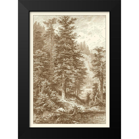 Sepia Noble Fir Black Modern Wood Framed Art Print by Heyn, Ernst