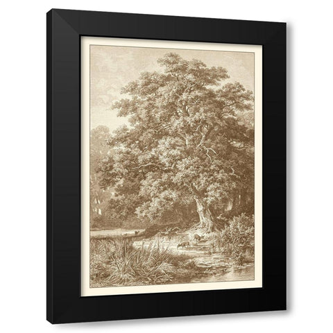 Sepia Oak Tree Black Modern Wood Framed Art Print by Heyn, Ernst