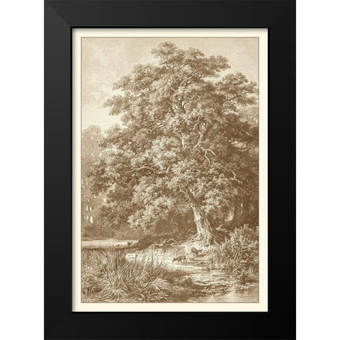 Sepia Oak Tree Black Modern Wood Framed Art Print by Heyn, Ernst