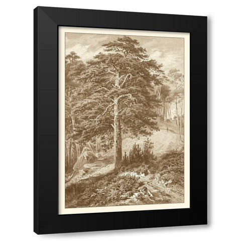 Sepia Wild Pine Black Modern Wood Framed Art Print by Heyn, Ernst